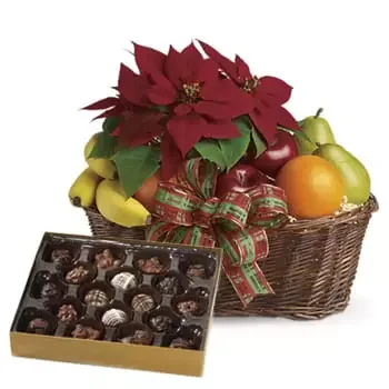 Bristol Florarie online - Poinsettia și bomboane de ciocolată fructate Buchet