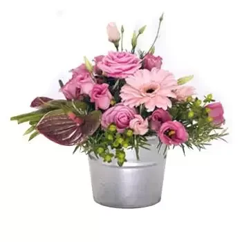 Abbots Leigh bunga- Pinky Delight Bunga Penghantaran
