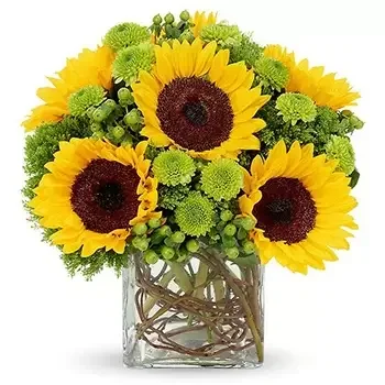 Houston Blumen Florist- Ein Hauch von Sonnenschein Bouquet/Blumenschmuck