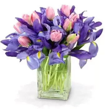 Houston Blumen Florist- Strauß Überraschung Bouquet/Blumenschmuck