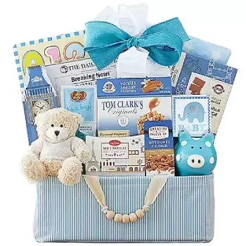 Columbus flowers  -  Celebrate New Life Gift Basket (Boy) Flower Delivery