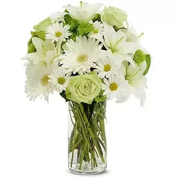بائع زهور لوس أنجلوس- الصفحة البيضاء باقة الزهور
