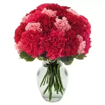 Washington flowers  -  Hot Carnations Flower Bouquet/Arrangement