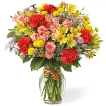 flores Houston floristeria -  Feliz mañana con Alstromeria y Claveles Ramo de flores/arreglo floral