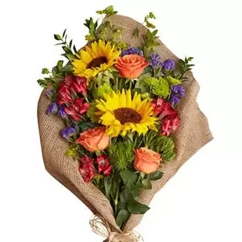 Boston flowers  -  Morning Delight Flower Bouquet/Arrangement