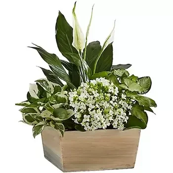 USA flowers  -  Serene White Garden Flower Bouquet/Arrangement