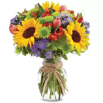 بائع زهور الولايات المتحدة- ابتسامة عباد الشمس باقة الزهور