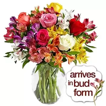 flores Houston floristeria -  Sunshines Sweet Kisses Ramo de flores/arreglo floral