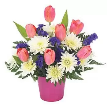 flores Houston floristeria -  Tulipanes tentadores Ramo de flores/arreglo floral