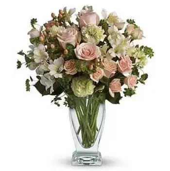 Memphis rože- Stoječe vrtnice Cvet šopek/dogovor
