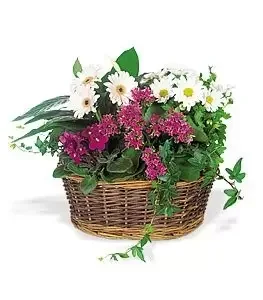 Oman bloemen bloemist- Stuur een Smile Flower Basket 
