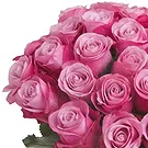 fiorista fiori di Firenze- Composizione di 24 rose rosa con verde Bouquet floreale
