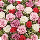 Italy flowers  -  Heart of White and Colorful Pink Roses Flower Bouquet/Arrangement