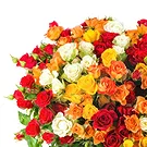 Italy flowers  -  Various Colors Fine Floral Composition Flower Bouquet/Arrangement