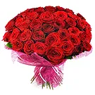 Italy flowers  -  100 Red Roses Big Bunch Flower Bouquet/Arrangement