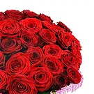 Florence flowers  -  Composition of 500 Red Roses Flower Bouquet/Arrangement