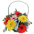 Portugal flowers  -  Spring Basket Flower Bouquet/Arrangement