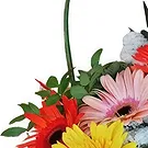 Portugal flowers  -  Spring Basket Flower Bouquet/Arrangement