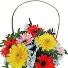 Portugal flowers  -  Spring Basket Flower Bouquet/Arrangement