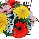 Portugal flowers  -  Spring Basket Flower Bouquet/Arrangement