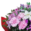 Portugal flowers  -  Mimo Bouquet Flower Bouquet/Arrangement