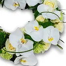 Haag blomster- Orkidé minne Blomsterarrangementer bukett