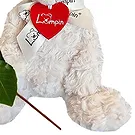 Amsterdam-Zuidoost flowers  -  Love Combo Flower Bouquet/Arrangement