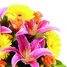 Portugal flowers  -  Royal Choice Flower Bouquet/Arrangement