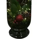 Isfara flowers  -  VIP Care Package Flower Bouquet/Arrangement