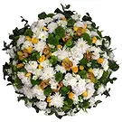 Ribeira Brava kvety- Harmónia farieb Aranžovanie kytice