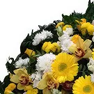 Ribeira Brava kvety- Jemná ružová Aranžovanie kytice