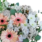 Portugal flowers  -  Luxury Gift Flower Bouquet/Arrangement