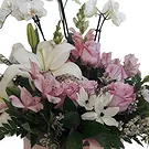 Portugal flowers  -  Affordable Choice Flower Bouquet/Arrangement