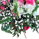 Portugal Blumen Florist- Schicke rosa Wahl Bouquet/Blumenschmuck