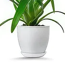 Hatem flowers  -  Soft Green Flower Bouquet/Arrangement