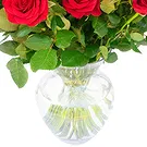 Oman flowers  -  Bunch of 18 Red Roses Flower Bouquet/Arrangement