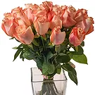 Oman flowers  -  Bunch of 18 Salmon Roses Flower Bouquet/Arrangement