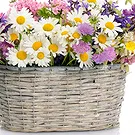 Forst am Berg Blumen Florist- Korb mit Frühlingsblumen Bouquet/Blumenschmuck