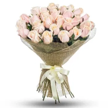 WeekFlowers online květinářství - Kytice 24 světle růžových růží Kytice