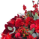 Oman flowers  -  Christmas arrangement of red flowers Flower Bouquet/Arrangement