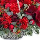 Oman flowers  -  Christmas arrangement of red flowers Flower Bouquet/Arrangement