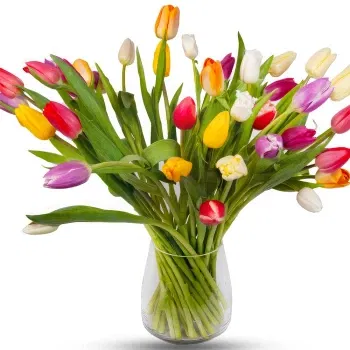 WeekFlowers online virágüzlet - 50 db szivárványos tulipán csokor Csokor