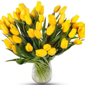 Holland Fleuriste en ligne - Bouquet de 50 tulipes jaunes Bouquet