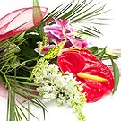 Ariz flowers  -  Bunch with anthurium flower Flower Bouquet/Arrangement