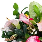 Metlika bunga- Sejambak bunga anthurium merah jambu Sejambak/gubahan bunga