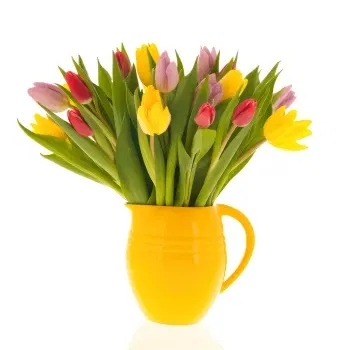 WeekFlowers online květinářství - Vícebarevné tulipány Kytice