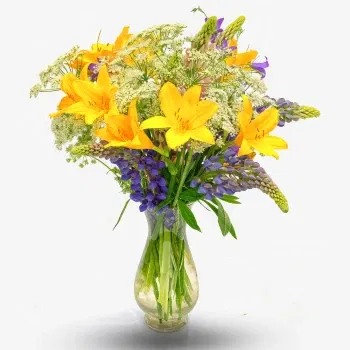 Costa Rica Online Florist - Bukett av gula blommor Bukett