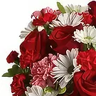 Guaico bloemen bloemist- HUGS & KISSES RODE ROZEN Boeket/bloemstuk