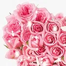 比尔古 花- 粉红色玫瑰花心表示哀悼 花的花束安排