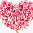 比尔古 花- 粉红色玫瑰花心表示哀悼 花的花束安排